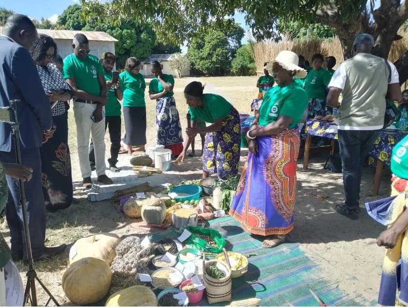District Commissioner in In Blue jacket, District Agriculture Coordinator on the middle and KZF Director inspects variety of exhibits