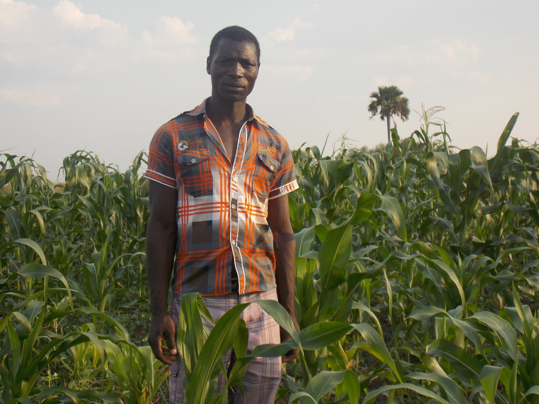 Kaoma Agriculture Recovery Support Project (KDARSP)