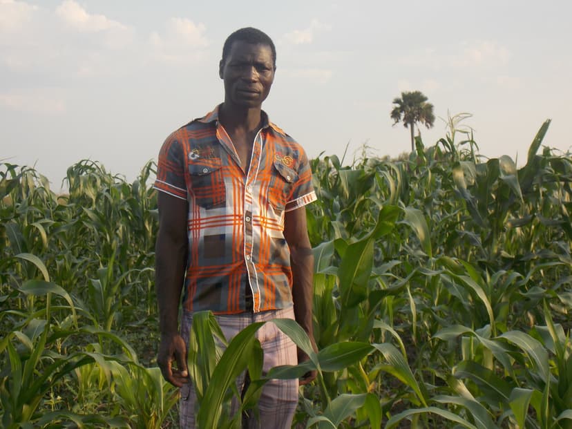 Kaoma Agriculture Recovery Support Project (KDARSP)