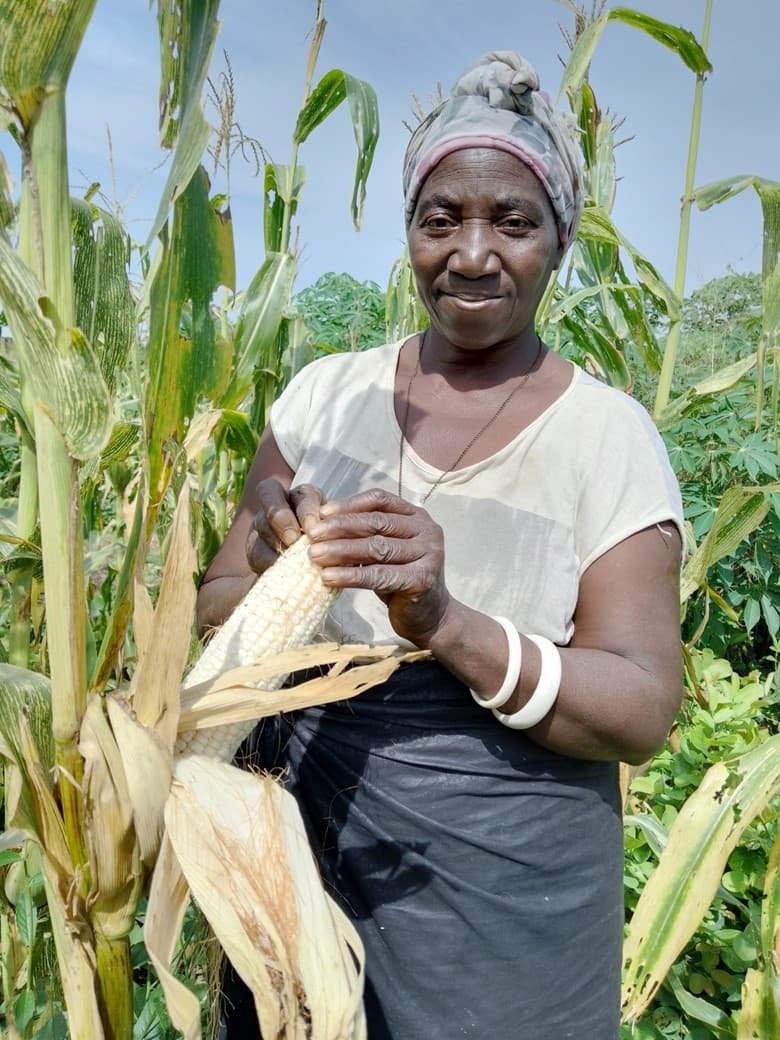 Strengthening Vulnerable Households’ Resilience Capacity